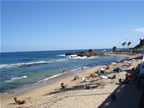 DSC00053.jpg (42kb)